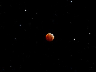 Dec 21 Lunar Eclipse image